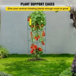 VEVOR Tomato Cages, 11.8" X 11.8" X 46.1", 10 Packs Square Plant Support Cages, Green PVC-Coated Steel Tomato Towers , Green 13 VEVOR Tomato Cages, 11.8" X 11.8" X 46.1", 10 Packs Square Plant Support Cages, Green PVC-Coated Steel Tomato Towers , Green -Vevor GUEST 1d8a5804 900b 41ac 9016 99024a1c8efc