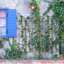 Vevor 11 VEVOR Garden Trellis For Climbing Plants, 71 X 20 In, 4 Packs Rustproof Metal Garden Flower Trellis, Outdoor Climbing Rose Trellis Cucumbers Support