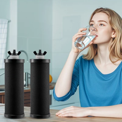 VEVOR Water Filters Replacement, Purification Elements, Activated Carbon Replacement Filters, Easy To Replace Water Filter, Pack Of 2, Black 1 VEVOR Water Filters Replacement, Purification Elements, Activated Carbon Replacement Filters, Easy To Replace Water Filter, Pack Of 2, Black