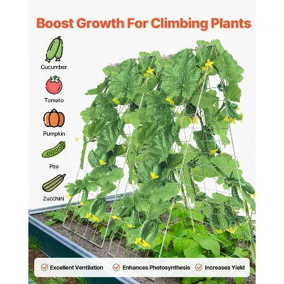 VEVOR Cucumber Trellis For Climbing Plants, 35" X 55" Foldable Cucumber Trellis Set With Plant Clips, Metal Garden Trellis For Raised Bed 4 VEVOR Cucumber Trellis For Climbing Plants, 35" X 55" Foldable Cucumber Trellis Set With Plant Clips, Metal Garden Trellis For Raised Bed - Image 4
