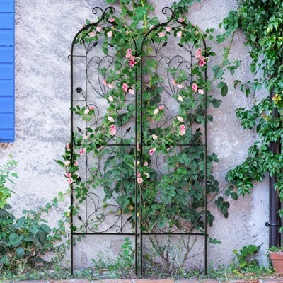 VEVOR Garden Trellis For Climbing Plants, 60 X 15 In, 2 Packs Rustproof Metal Garden Flower Trellis, Outdoor Climbing Rose Trellis Cucumbers Support 1 VEVOR Garden Trellis For Climbing Plants, 60 X 15 In, 2 Packs Rustproof Metal Garden Flower Trellis, Outdoor Climbing Rose Trellis Cucumbers Support