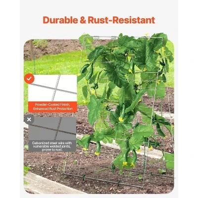 VEVOR Cucumber Trellis For Climbing Plants, 35" X 55" Foldable Cucumber Trellis Set With Plant Clips, Metal Garden Trellis For Raised Bed 2 VEVOR Cucumber Trellis For Climbing Plants, 35" X 55" Foldable Cucumber Trellis Set With Plant Clips, Metal Garden Trellis For Raised Bed - Image 2